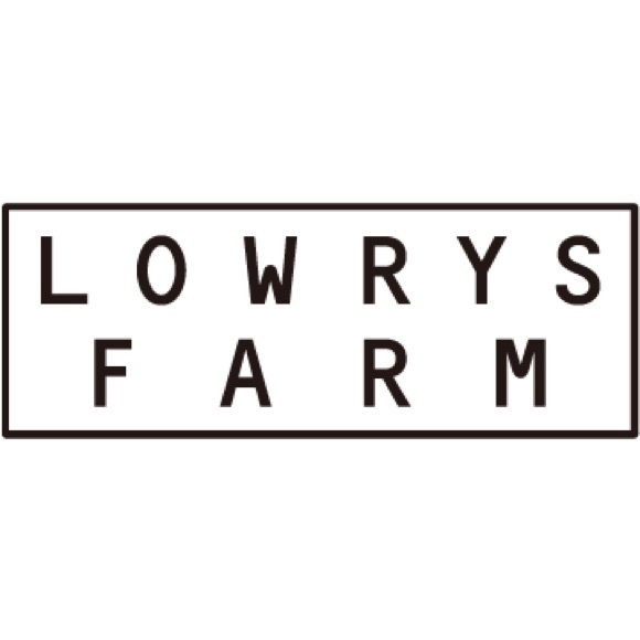 🇯🇵 LOWRYS FARM chain bracelet - Picture 6 of 7